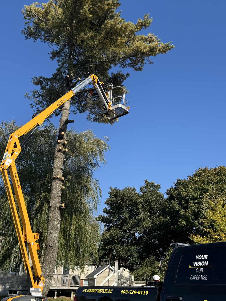 Tree Removal in Nova Scotia