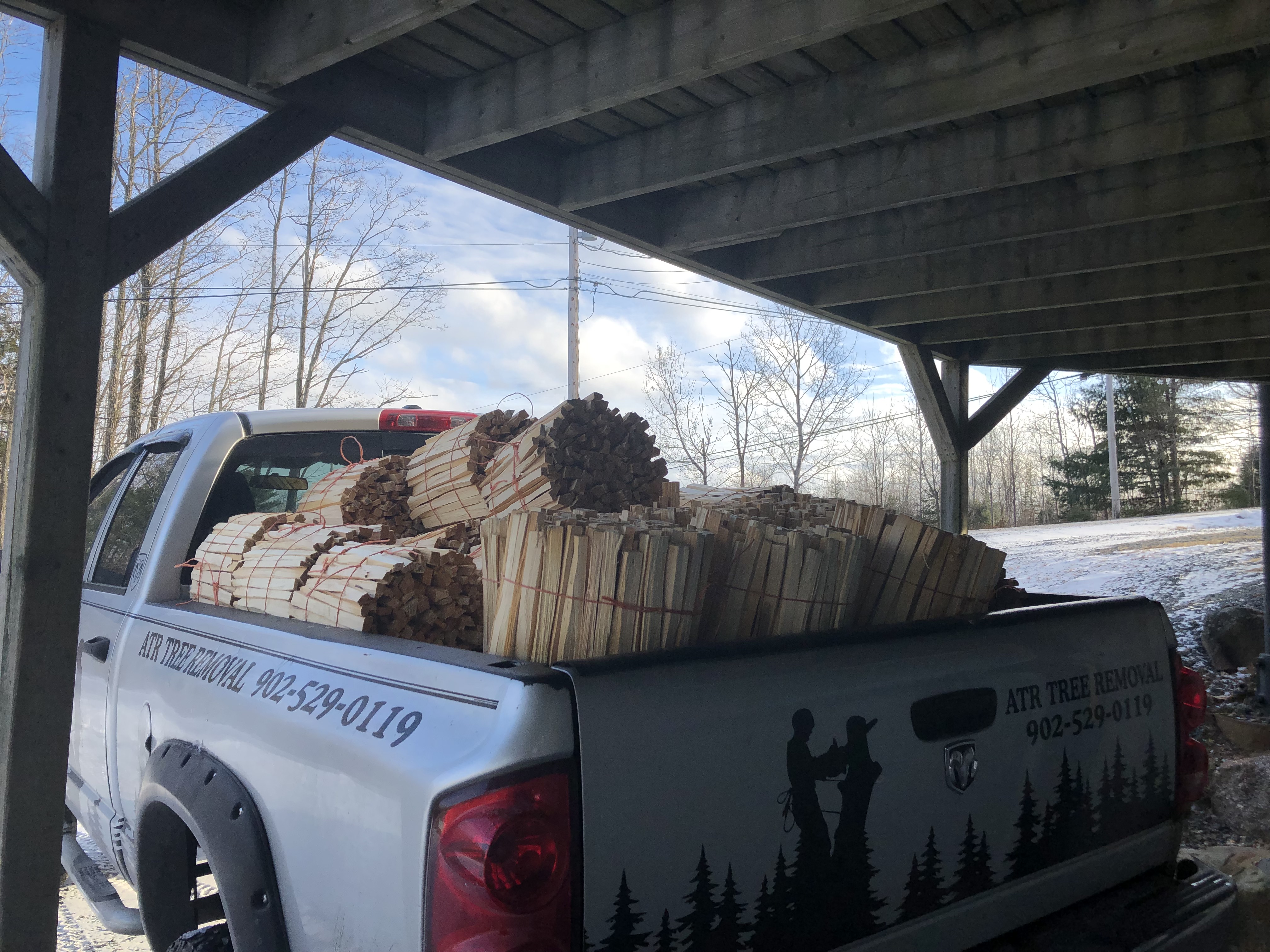 Tree Fertilizing